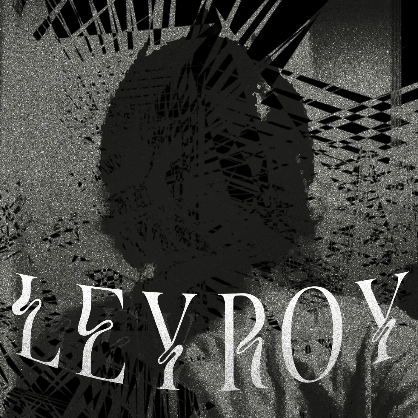 Cover LAYROY
